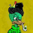 circoo9