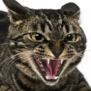 avatar Squiggs Squiggums