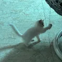 mdatt_