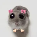 Аватар killp3877