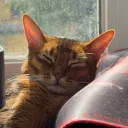 adamkuznetsov