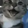 ulisegas