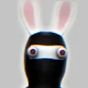 pigthepro2