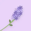 lilytale