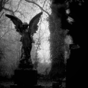 avatar LoverBoy🖤🏕