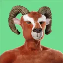 innocentgoat.