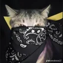 gamergirlcute. avatar