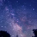 themoonflock