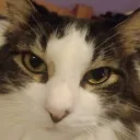 moizzz30