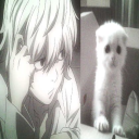 avatar 𝑺𝒉𝒆𝒏