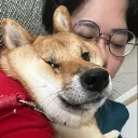 osakaandygor