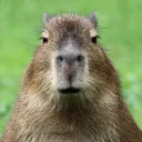 Аватар maickonjordan