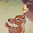 avatar 𝓜𝔂𝓼𝔃𝓴𝓪𝓪