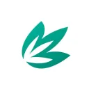thelsf