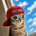 its_solsr