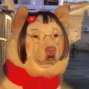 monikayt avatar