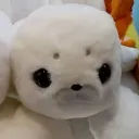 _kaiser_hd