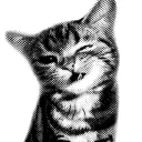 __.william._.