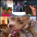 mkstreaker