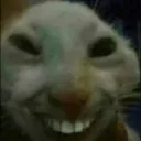 creeperwanna_be647 avatar