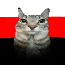 imkindareddish avatar