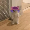 strelqmsesloshite avatar