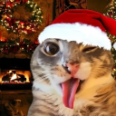 avatar Skeletons pouet pouet