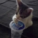 avatar 𝘮𝘢𝘪.