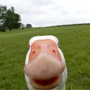 Аватар bulat3291