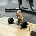 avatar 𝕺𝖑𝖝𝖘