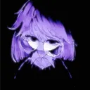 vexsnw