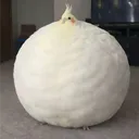 doeisliefman