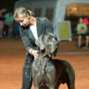 avatar 𝔏𝔲𝔦𝔰𝔞🤍