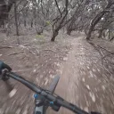 kgorman964