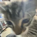 toastedbreadwastaken avatar