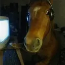 sainz_taliba