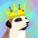 lord_suricato