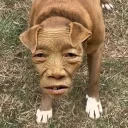 zoom_time