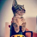 andresito6130 avatar