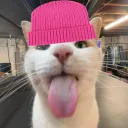 instxnce
