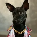 chiukaun