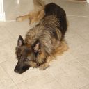 C26458dbe66fbd7737829175a5339764