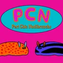 pertchicnudibranchs3933
