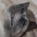 brandonlee0890's Avatar