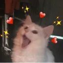 mizukiuwu142915 avatar