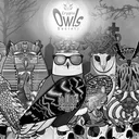 crypto_owls_society0577