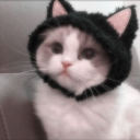Discord Avatar