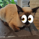 avatar Australopithecus Games