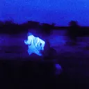 dummpys