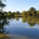 ilikelake